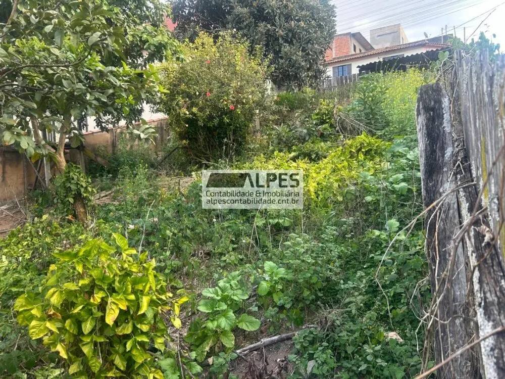 Foto 4 de Quatro terrenos de esquina em L somando 840 m², Piedade