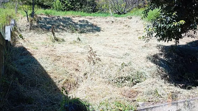 Terreno de 420 m² na região Bela Vista, Medicina
