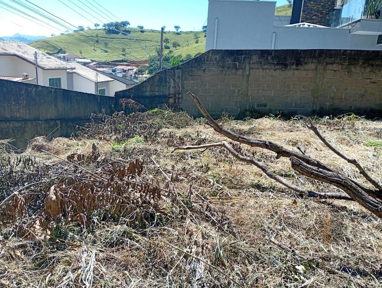 Foto 4 de Terreno de 420 m² na região Bela Vista, Medicina