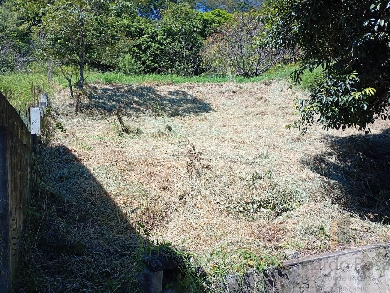 Foto 6 de Terreno de 420 m² na região Bela Vista, Medicina