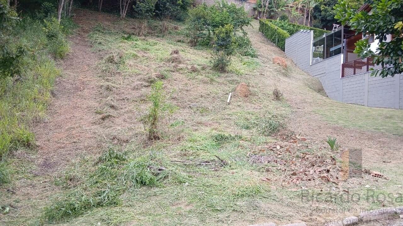 Foto 2 de Terreno em aclive de 450 m² no Pinheirinho