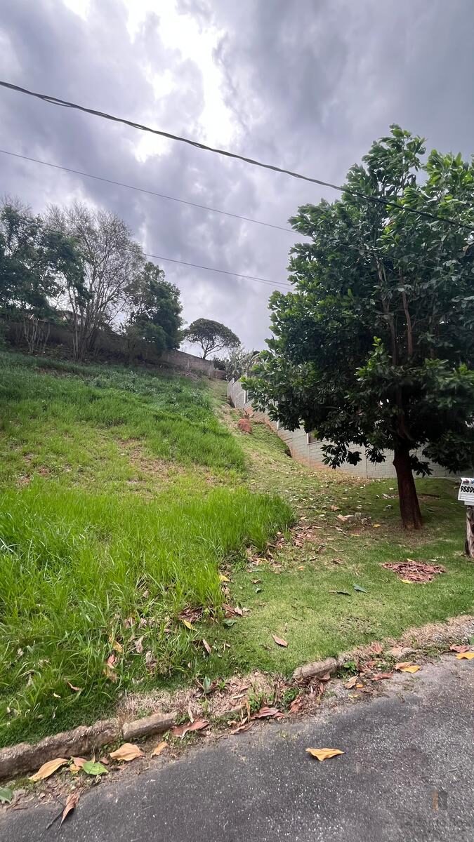 Foto 3 de Terreno em aclive de 450 m² no Pinheirinho