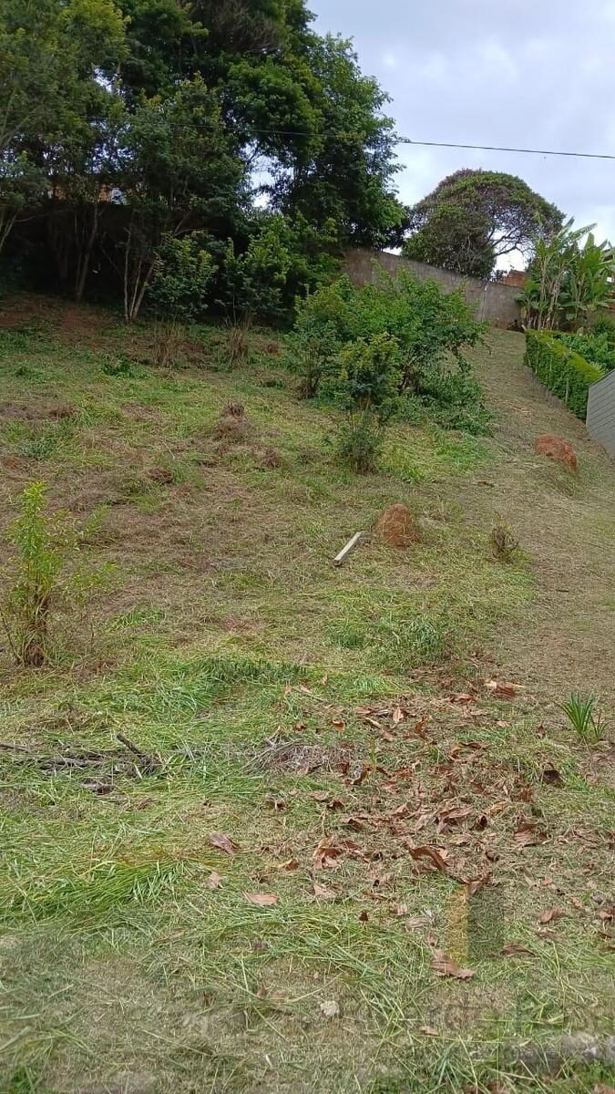 Foto 5 de Terreno em aclive de 450 m² no Pinheirinho