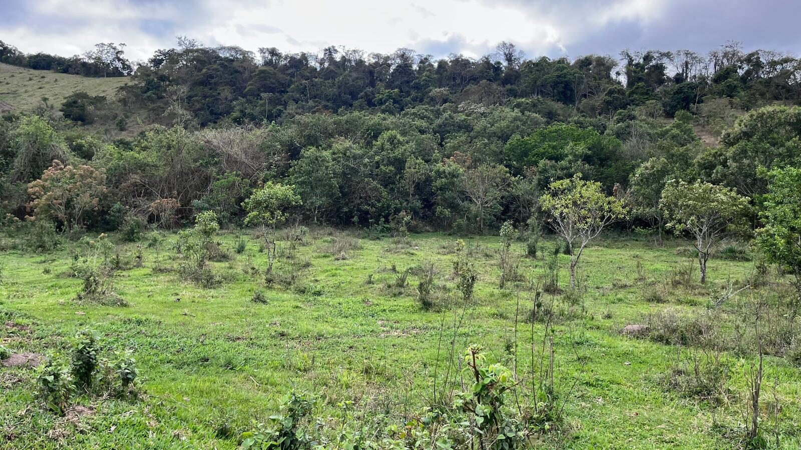 Foto 3 de Terreno rural de 5.000 m² na Serra dos Toledos