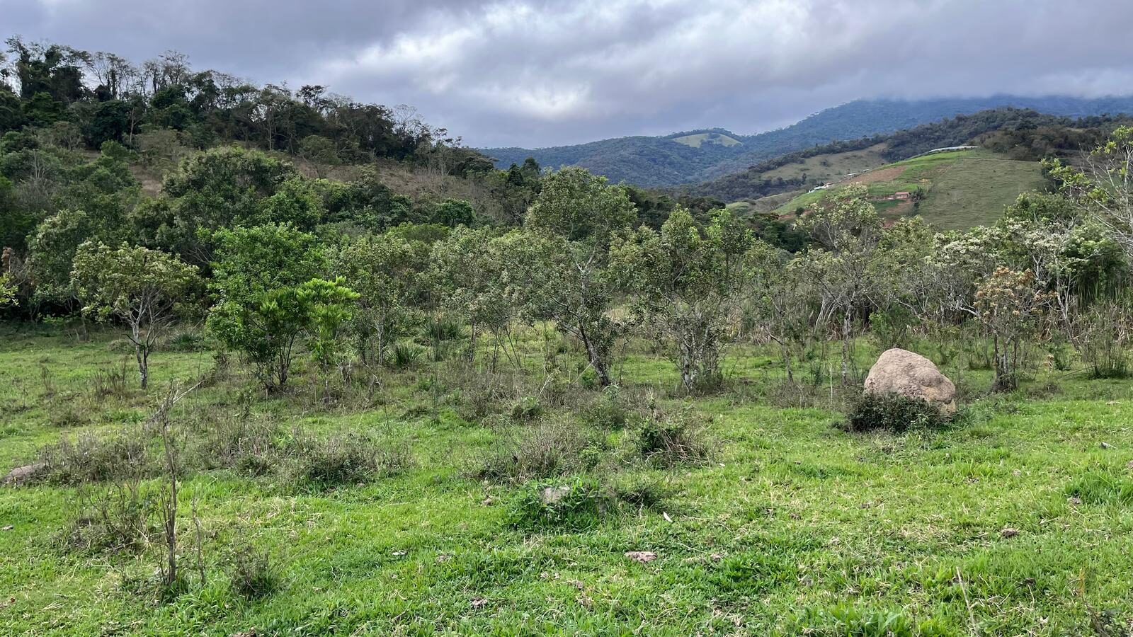 Foto 5 de Terreno rural de 5.000 m² na Serra dos Toledos