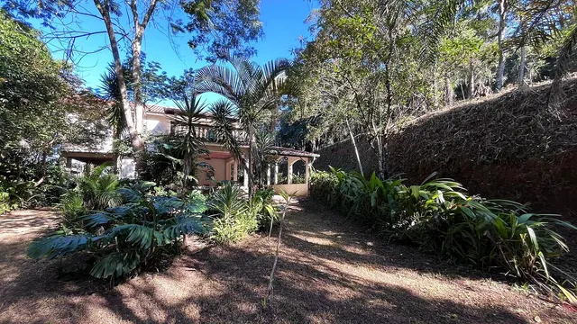 Terreno arborizado de 5.000 m² no Rebourgeon