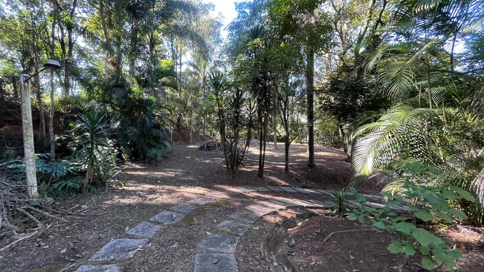 Foto 3 de Terreno arborizado de 5.000 m² no Rebourgeon