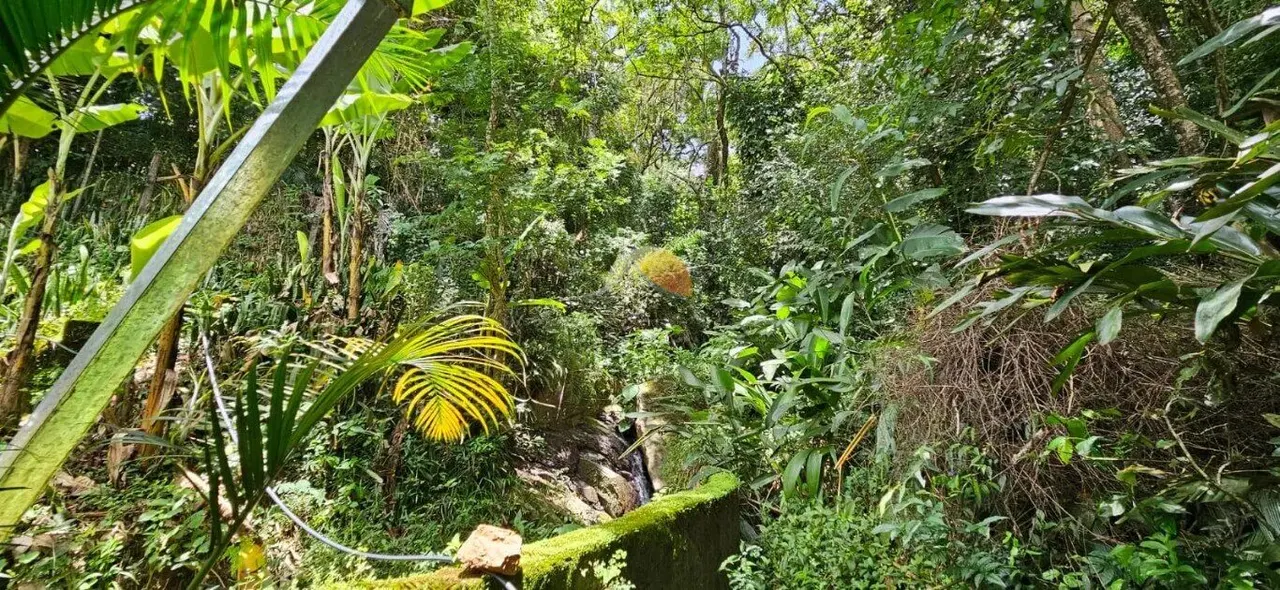 Foto 8 de Sítio de 1,5 alqueire com casa de 400 m², piscina e cachoeira, Área Rural de Itajubá