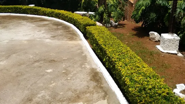 Sítio com casa de 4 quartos, pomar, lareira e mina d'água, Nações