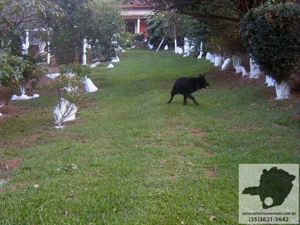 Foto 2 de Sítio com casa de 4 quartos, pomar, lareira e mina d'água, Nações