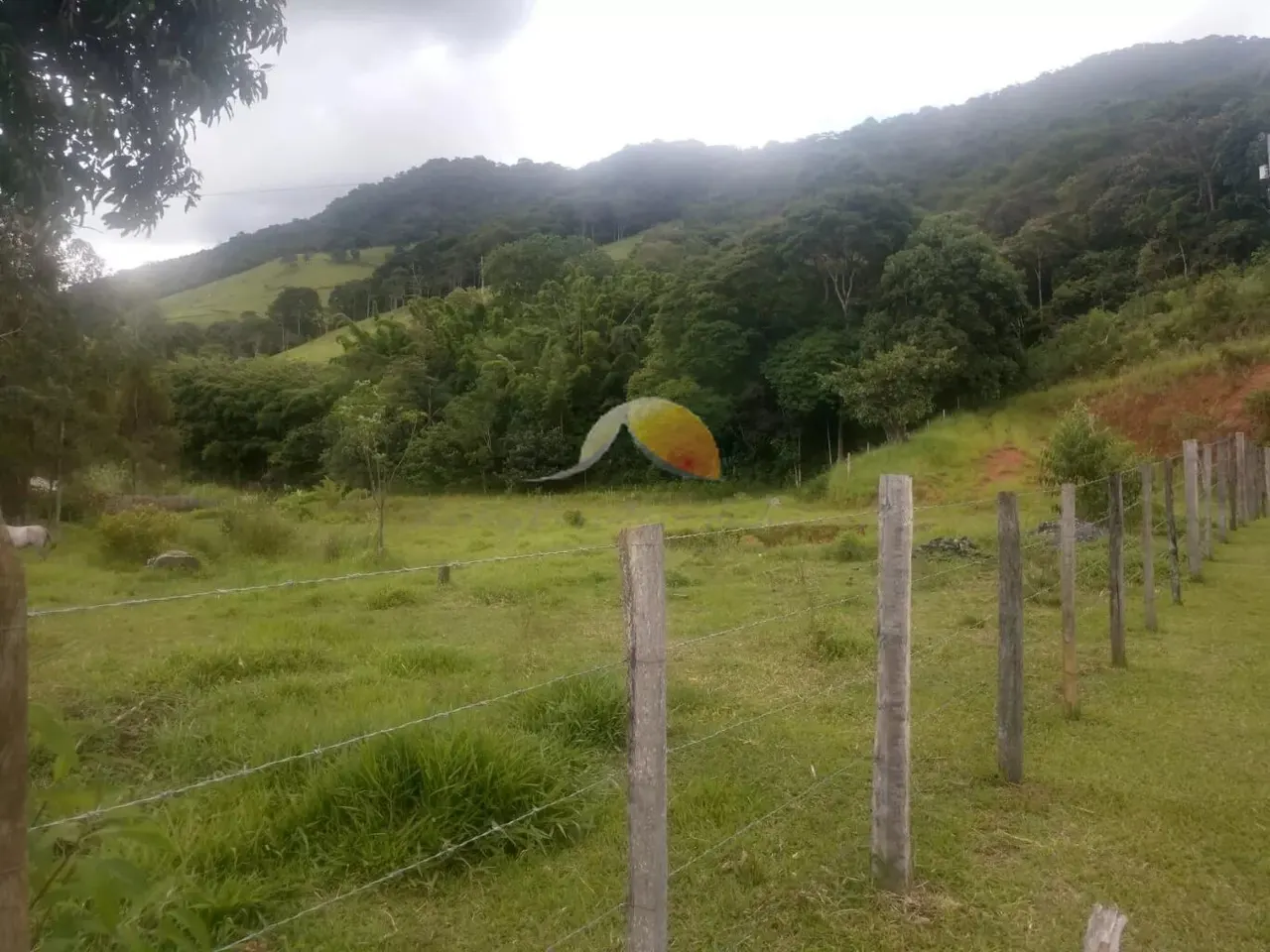 Foto 5 de Sítio com casa de 4 quartos, pasto e mata, São Pedro