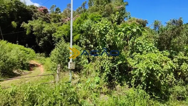 Foto 1 de Sítio de 20 hectares com casa simples, água e energia, Santa Rosa