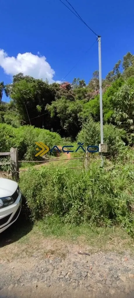 Foto 2 de Sítio de 20 hectares com casa simples, água e energia, Santa Rosa