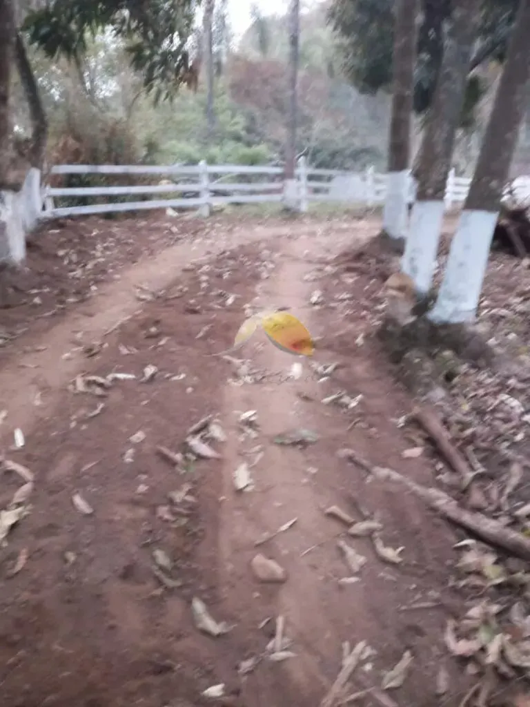 Foto 3 de Sítio de 3.000 m² com casa nova nunca habitada, São Pedro