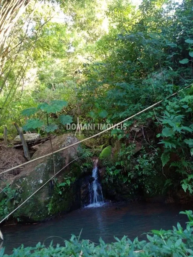 Foto 8 de Sítio de 4 alqueires mobiliado, com 2 casas, piscina e lago, Serra dos Toledos