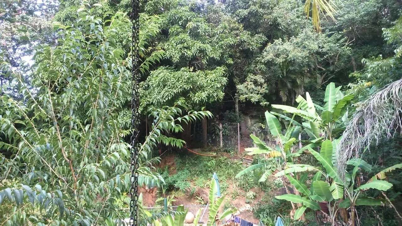 Foto 5 de Sítio de 4 quartos (3 suítes) com piscina, nascente e área gourmet, Área Rural de Itajubá
