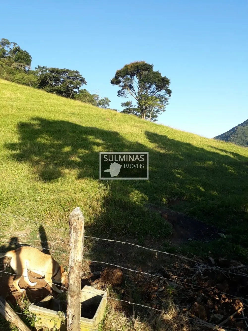 Foto 6 de Sítio de 5 alqueires com casa nova de 3 quartos, pasto e mina de água, Cantagalo