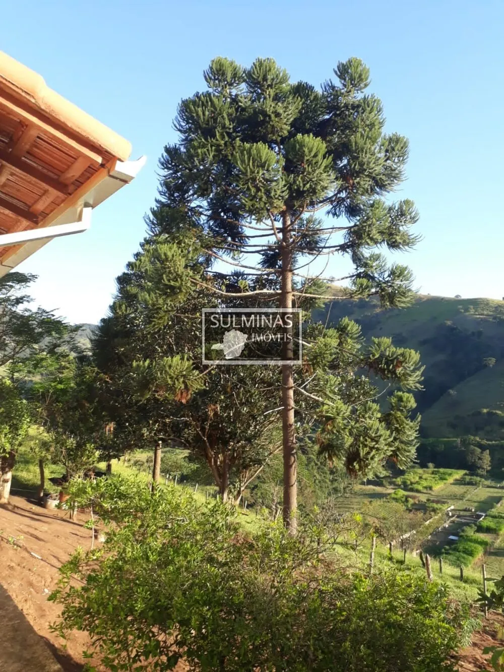 Foto 7 de Sítio de 5 alqueires com casa nova de 3 quartos, pasto e mina de água, Cantagalo