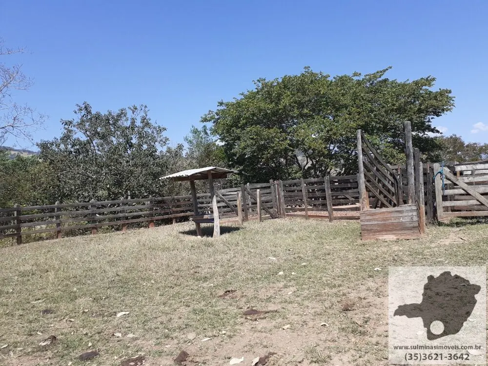 Foto 4 de Sítio de 5 alqueires com 2 lagos, piscina e casa sede, Capituba