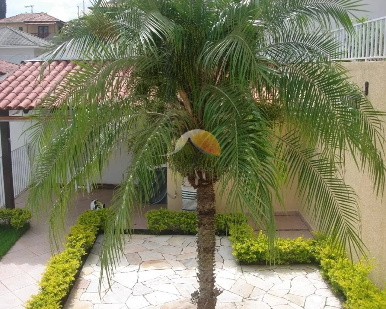 Foto 4 de Sobrado de 3 suítes com varanda, sauna e área de churrasco, Morro Chic