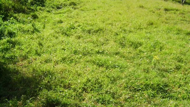 Foto 1 de Terreno de 2.000 m² no Rebourgeon, Itajubá-MG