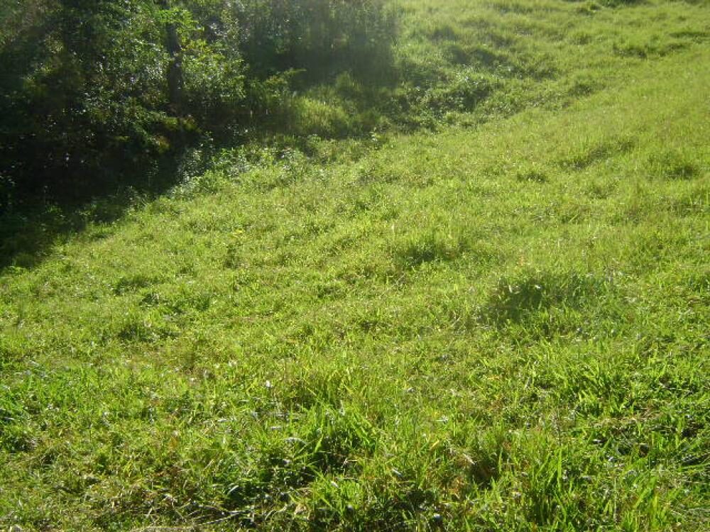 Foto 3 de Terreno de 2.000 m² no Rebourgeon, Itajubá-MG