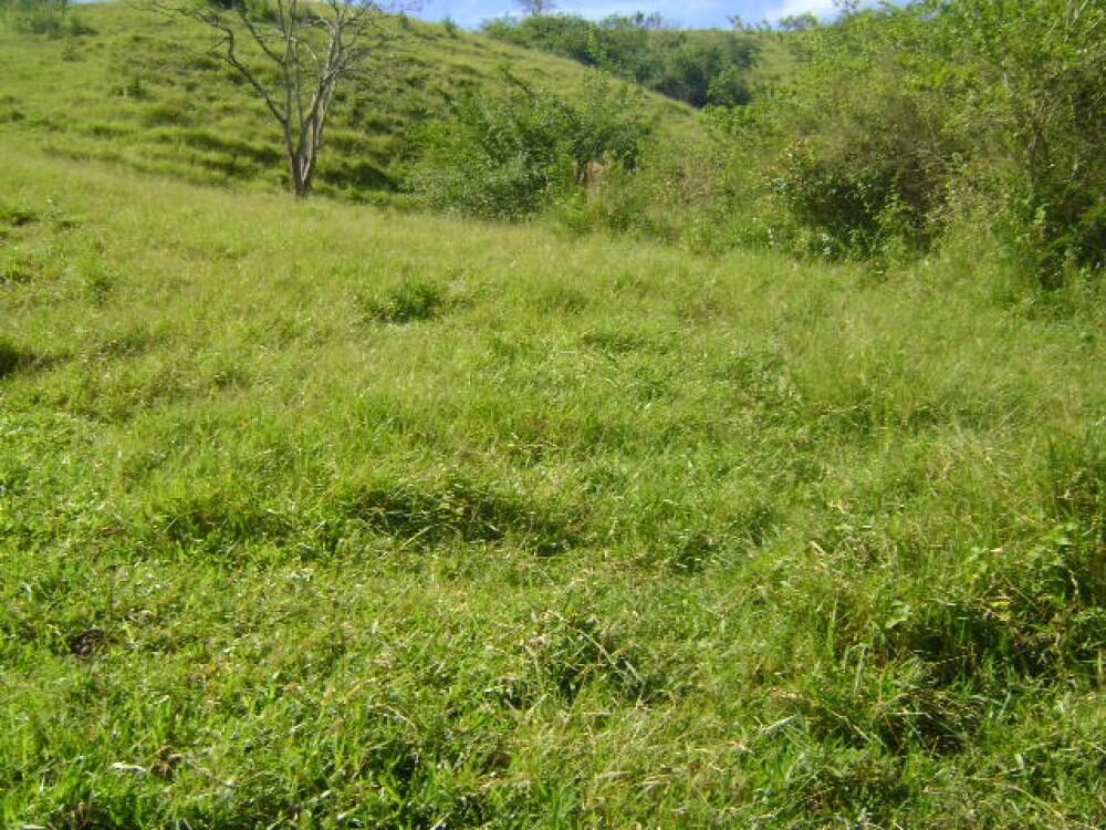 Foto 5 de Terreno de 2.000 m² no Rebourgeon, Itajubá-MG