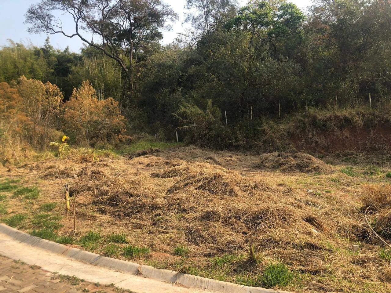 Foto 4 de Lote 09 de 234,61 m² no Vale das Hortênsias