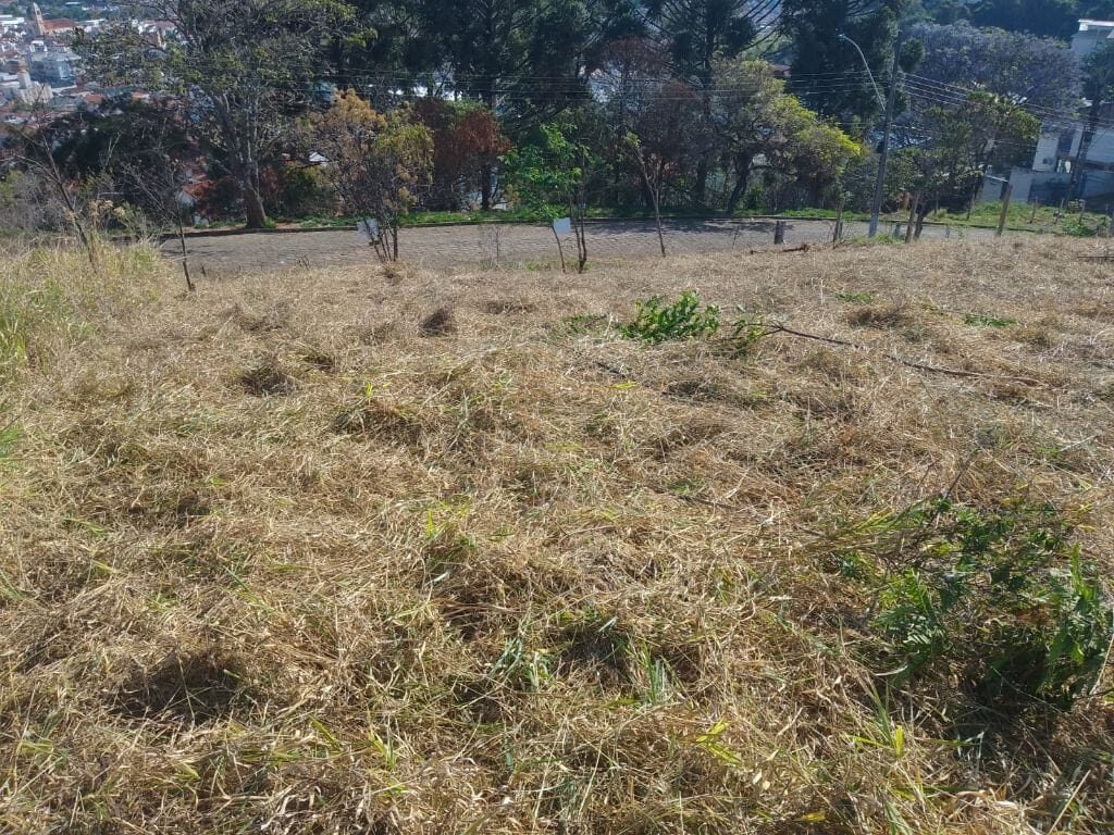 Foto 2 de Lote no Jardim América, Praça Oadi Mohallem