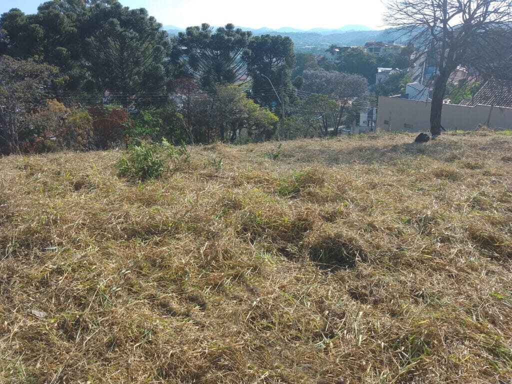 Foto 3 de Lote no Jardim América, Praça Oadi Mohallem