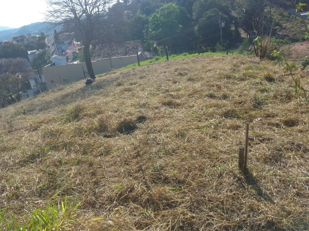 Foto 4 de Lote no Jardim América, Praça Oadi Mohallem