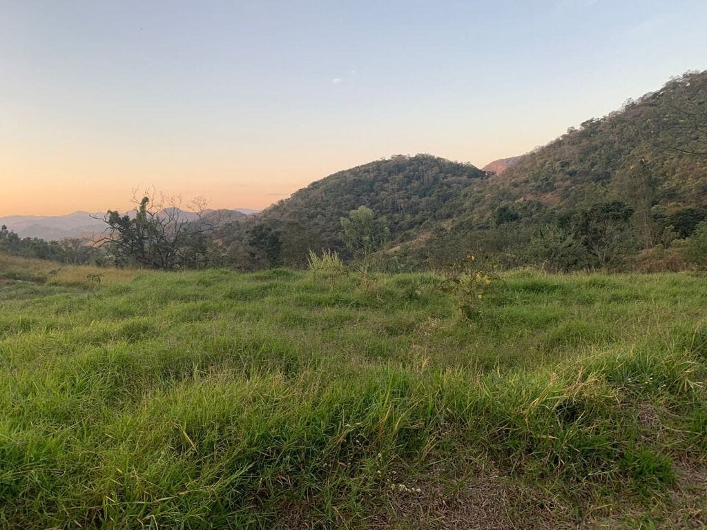 Foto 6 de Terreno de 3.308 m² em Morro Grande