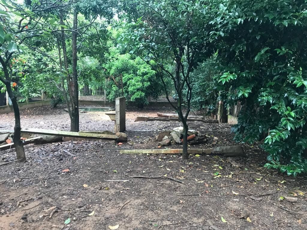 Foto 2 de Terreno de 602,2 m² em Santa Rosa