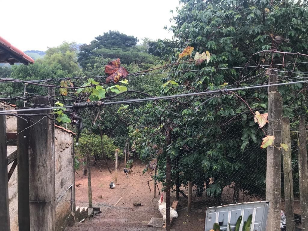 Foto 3 de Terreno de 602,2 m² em Santa Rosa