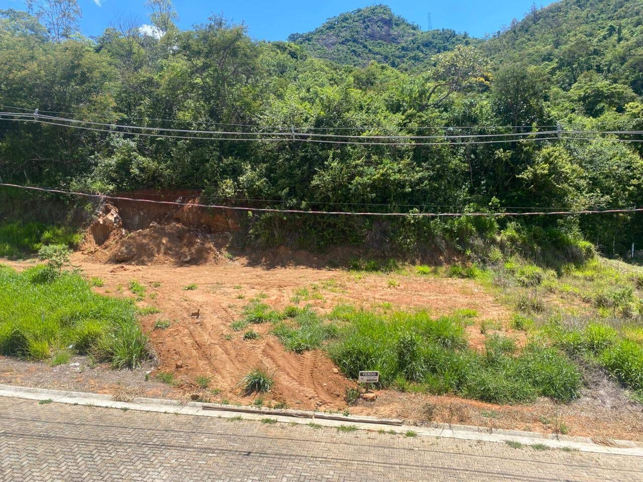 Foto 3 de Lote 06 de 252 m² no Vale das Hortênsias