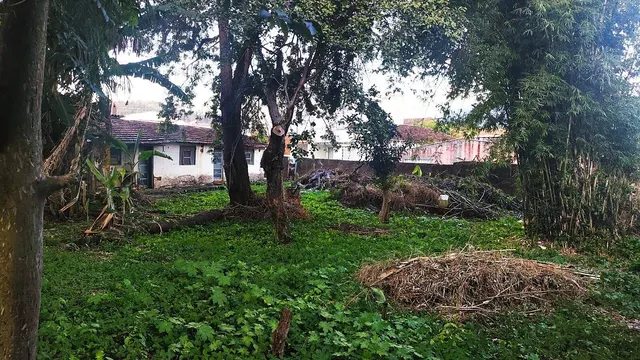Terreno de 890,45 m² perto do Mercado Municipal