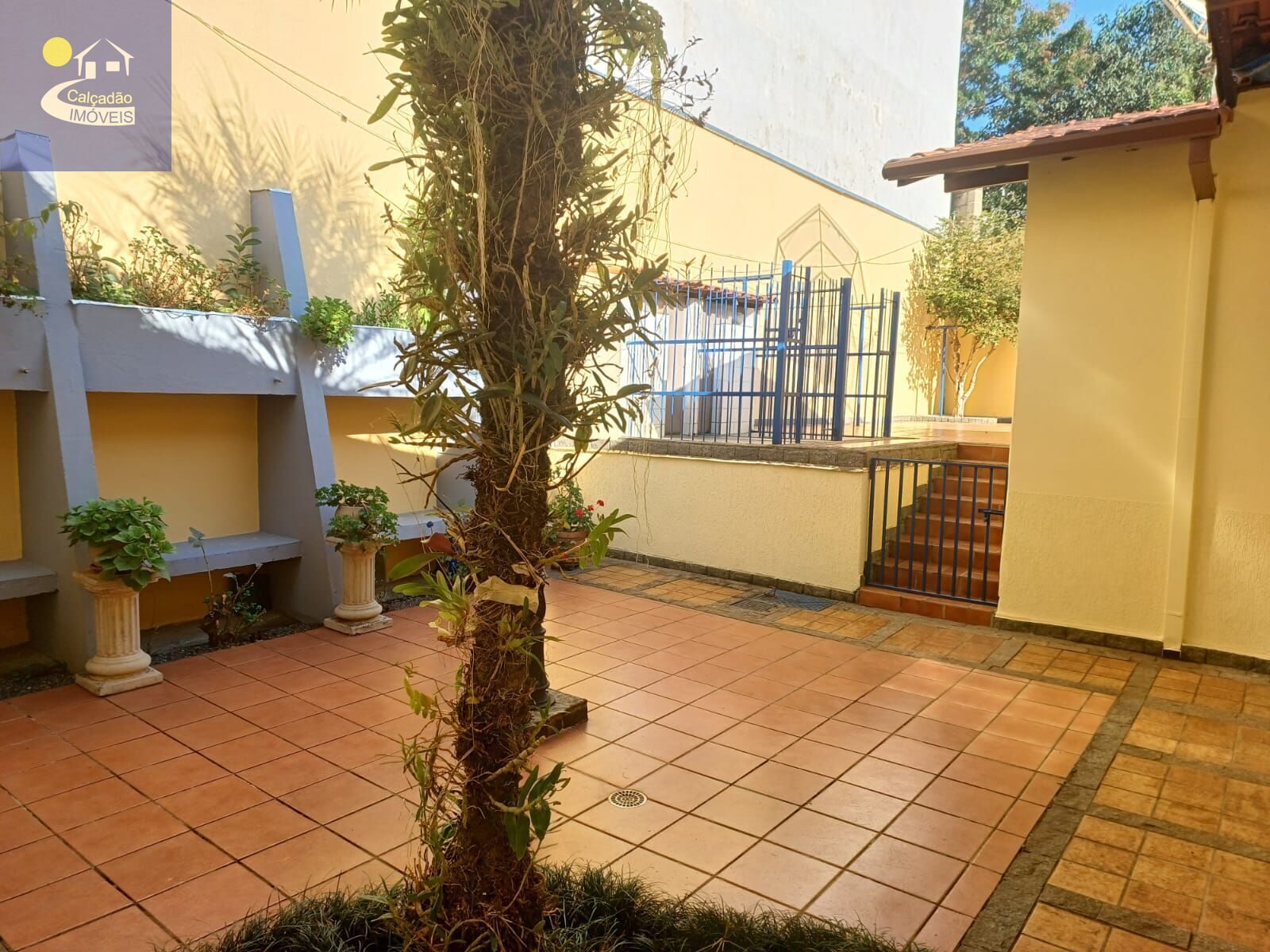 Foto 8 de Casa de 515 m² no BPS