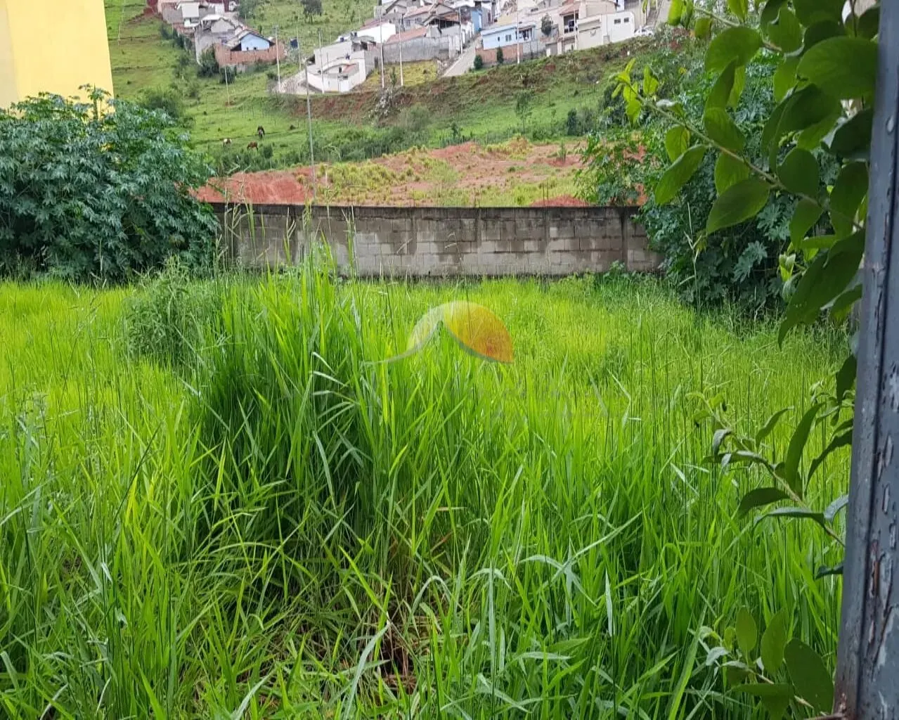 Foto 2 de Terreno com 200 m², 2 lotes disponíveis, Jardim das Palmeiras