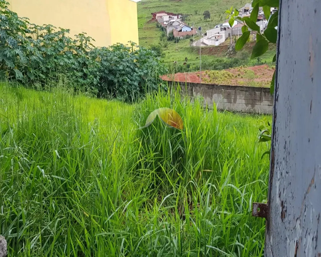 Foto 3 de Terreno com 200 m², 2 lotes disponíveis, Jardim das Palmeiras