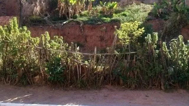 Foto 1 de Lote de 250 m² na Rua José Ruy Seixas, Jardim das Colinas
