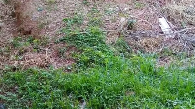 Foto 1 de Terreno de 250 m² com documentação em dia, Jardim das Colinas