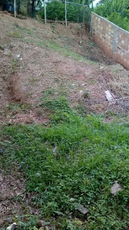 Foto 3 de Terreno de 250 m² com documentação em dia, Jardim das Colinas