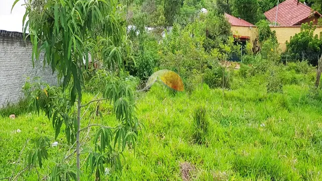 Foto 1 de Terreno com 317,5 m² no Jardim Alterosa