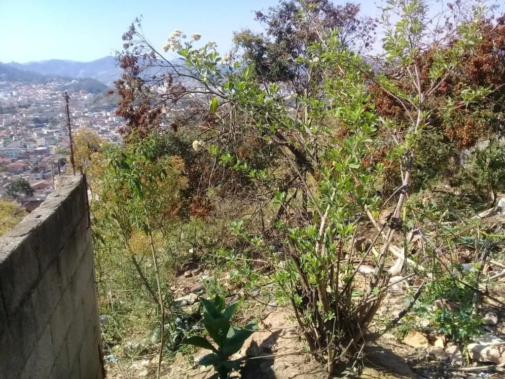 Foto 4 de Terreno urbano em aclive com vista para a cidade, Santo Antônio