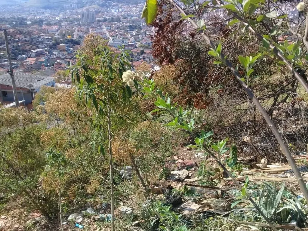 Foto 5 de Terreno urbano em aclive com vista para a cidade, Santo Antônio