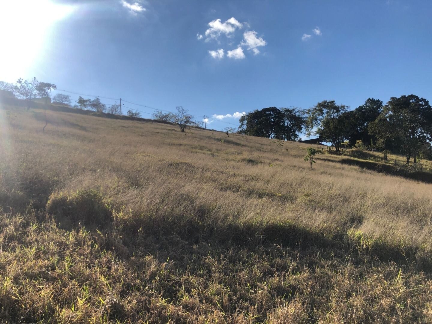 Foto 4 de Terreno de 1.120 m² na Rua Itália perto da GE, Nações
