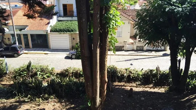 Foto 1 de Terreno urbano para prédio ou conjunto de casas, Morro Chic