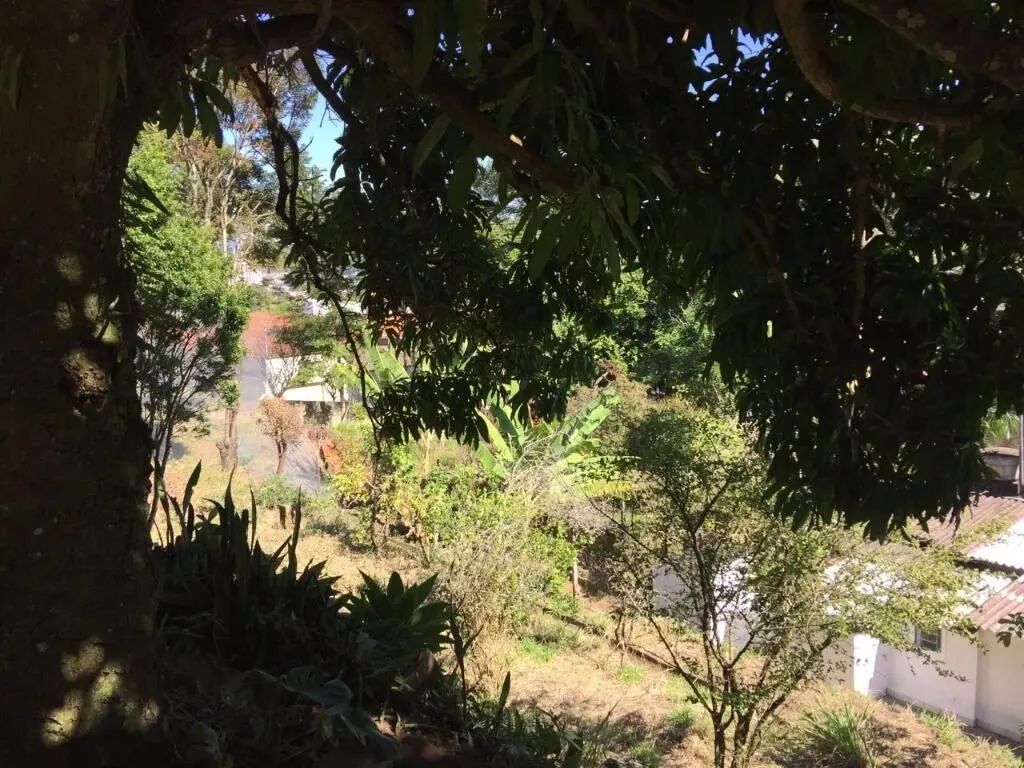 Foto 7 de Terreno urbano para prédio ou conjunto de casas, Morro Chic
