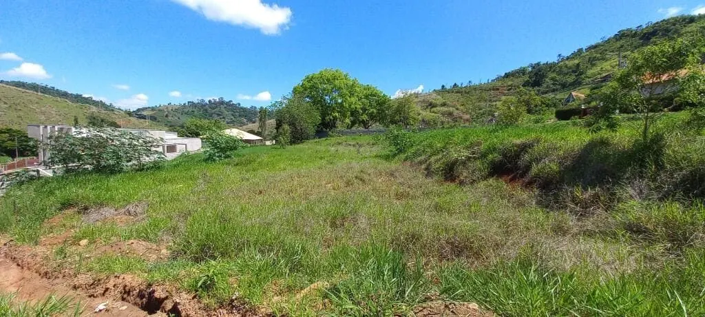 Foto 2 de Terreno plano de 1.200 m² no Clube de Campo Alexandre Braga, Pinheirinho