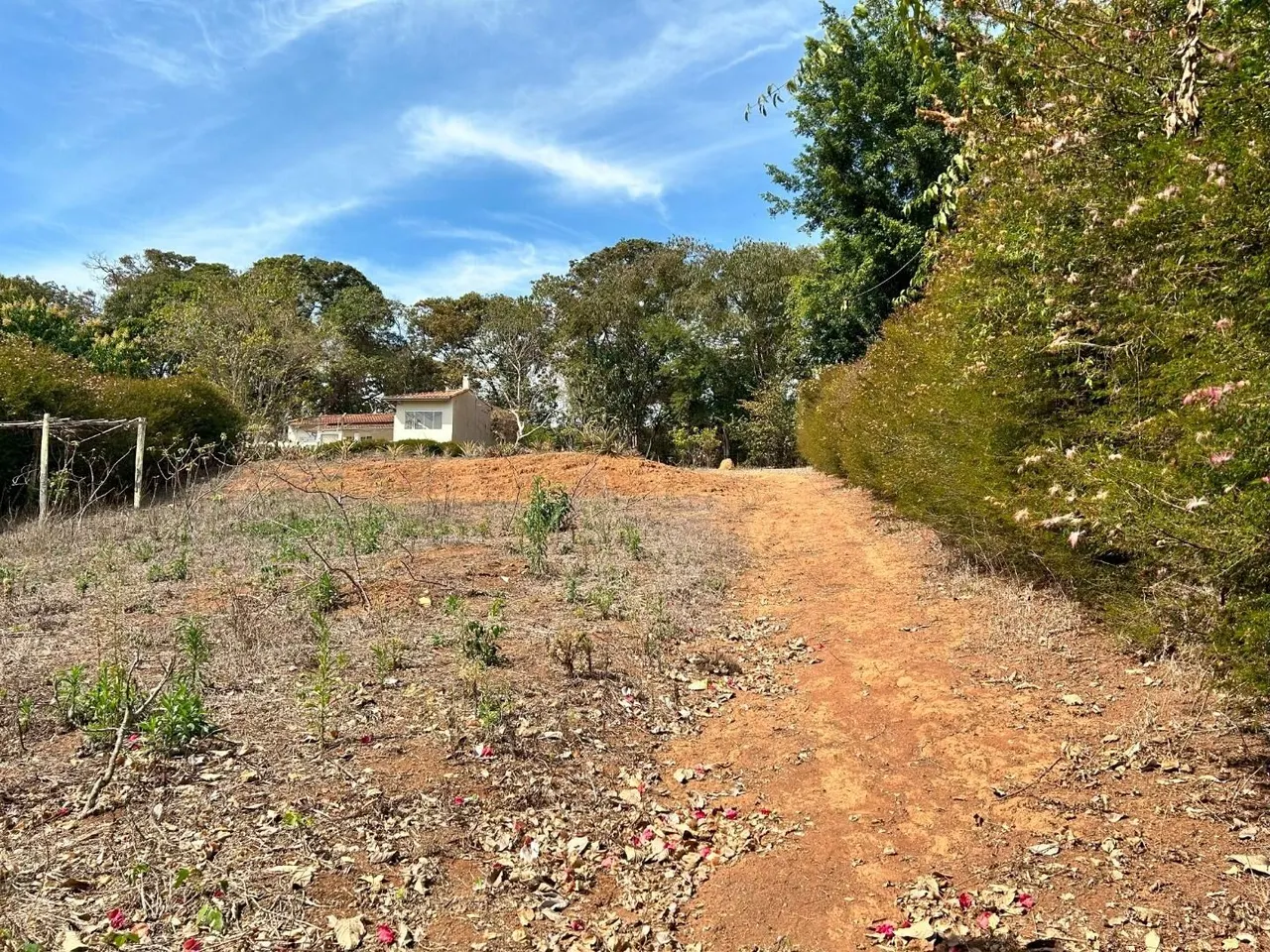 Foto 3 de Terreno de 1.630 m² em área arborizada, Ponte Alta